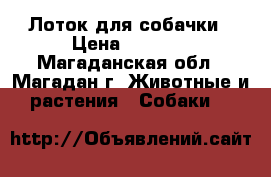 Лоток для собачки › Цена ­ 1 100 - Магаданская обл., Магадан г. Животные и растения » Собаки   